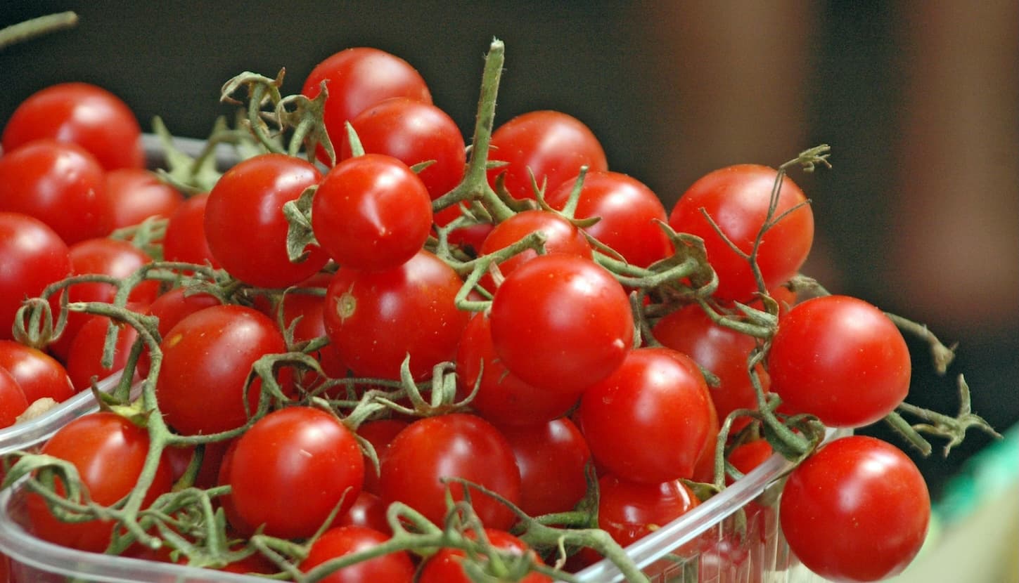 Unifying workforce experience and operational resilience